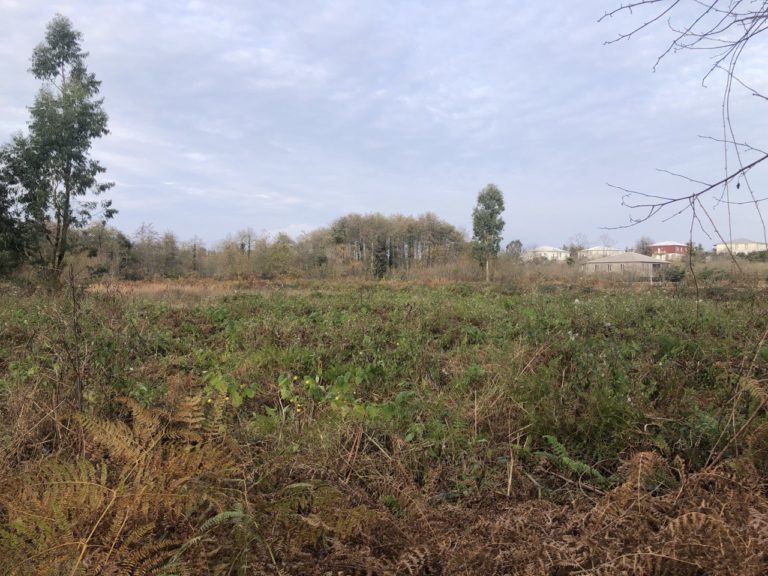 Земельные участки в Грузии: как найти лучшие предложения