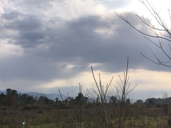 Земельный участок в Кобулети (6 соток) №32